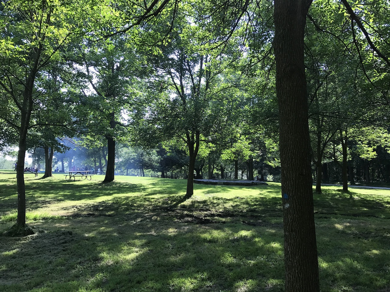 parc Mont-Royal
